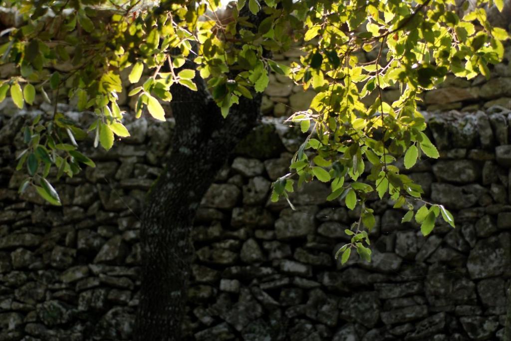 Masseria Iazzo Scagno Martina Franca Exterior photo