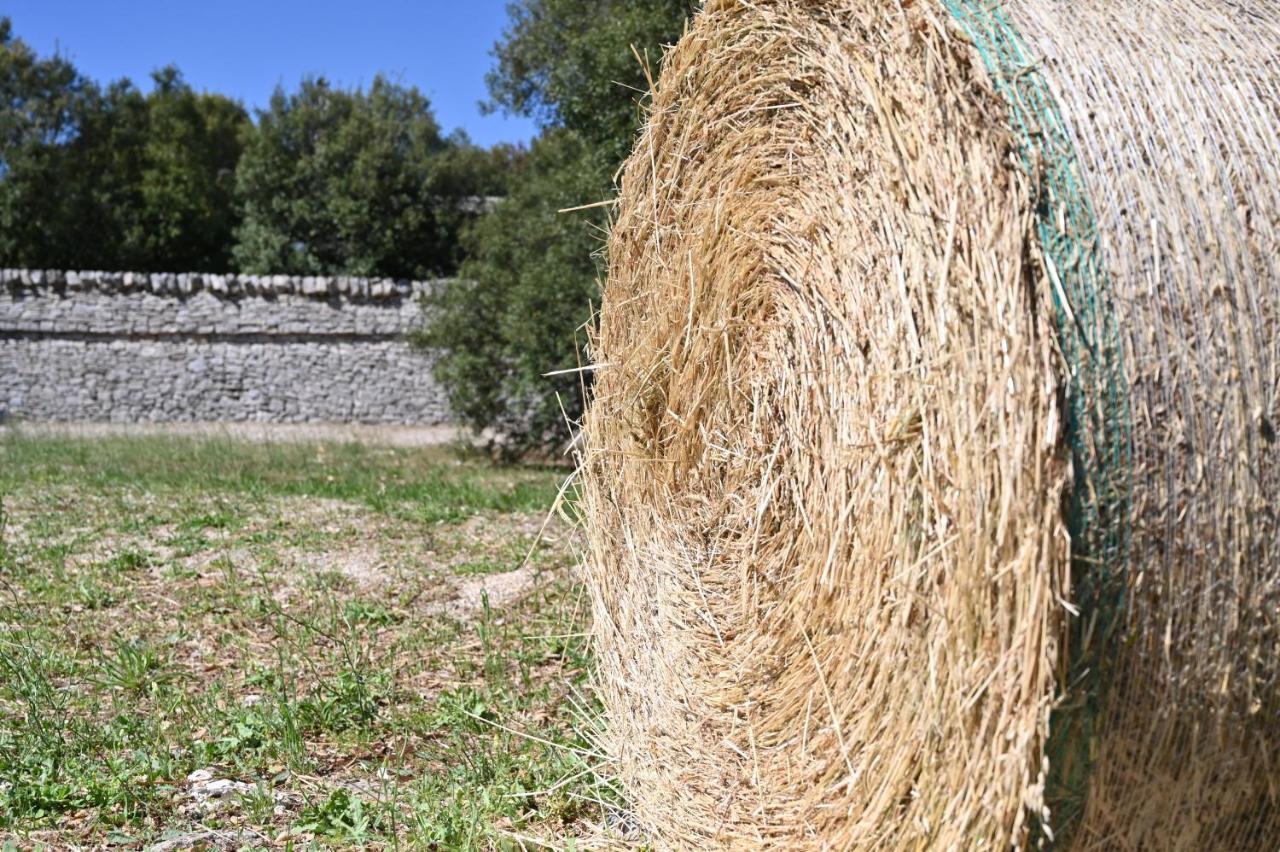 Masseria Iazzo Scagno Martina Franca Exterior photo